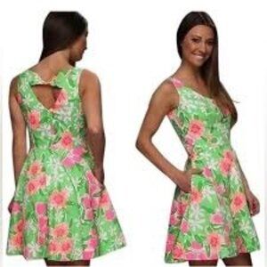 Lilly Pulitzer Womens Floral A-Line Dress Size 2 Green & Pink
